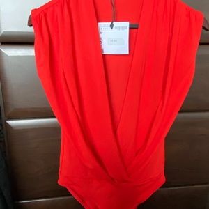 Beautiful, sexy bodysuit.